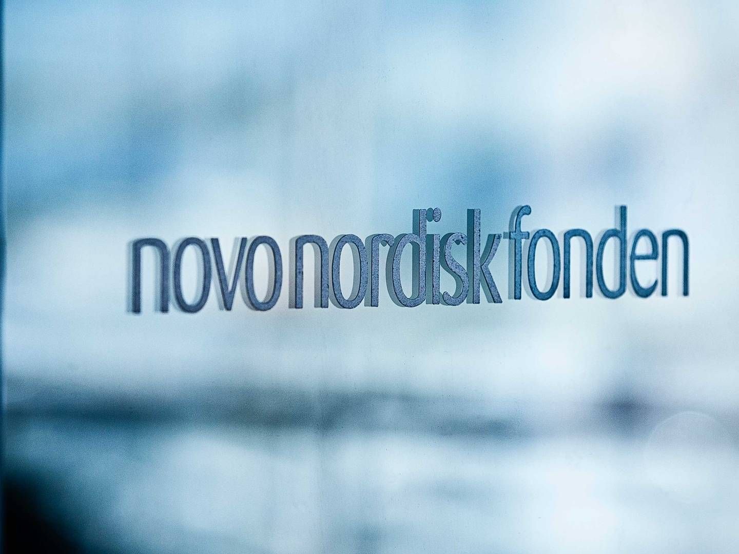 41-årig ukrainsk advokat får job som juridisk rådgiver i Novo Nordisk Fonden. | Foto: Novo Nordisk Fonden / PR