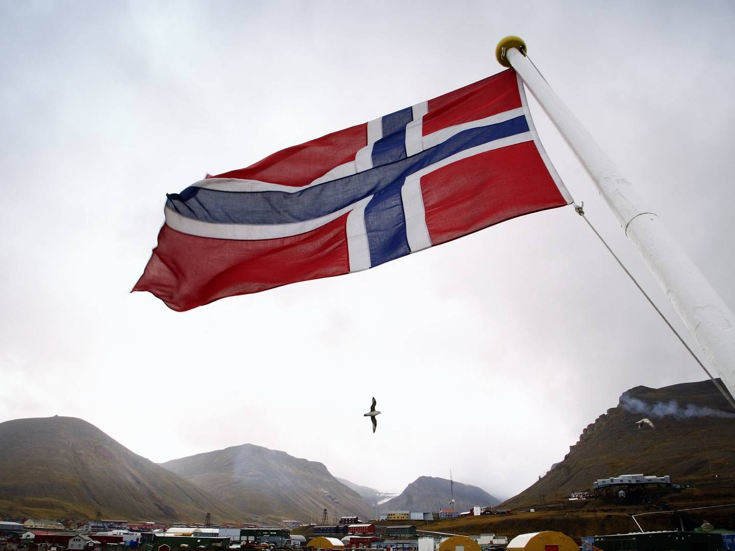 Advokater i Norge strejker. | Foto: Morten Langkilde/pxml Longyearbyen 11.jpg