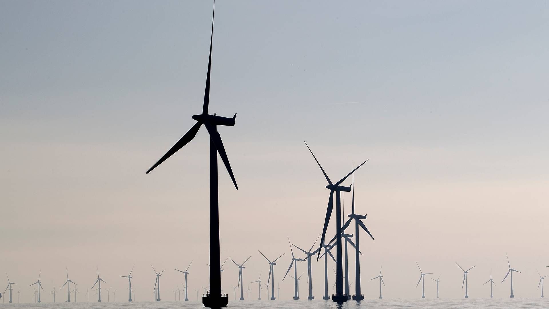 PFA has not yet decided whether the pension company will invest in projects from the upcoming Danish offshore wind tenders | Photo: Photo: Finn Frandsen/Politiken/Ritzau Scanpix