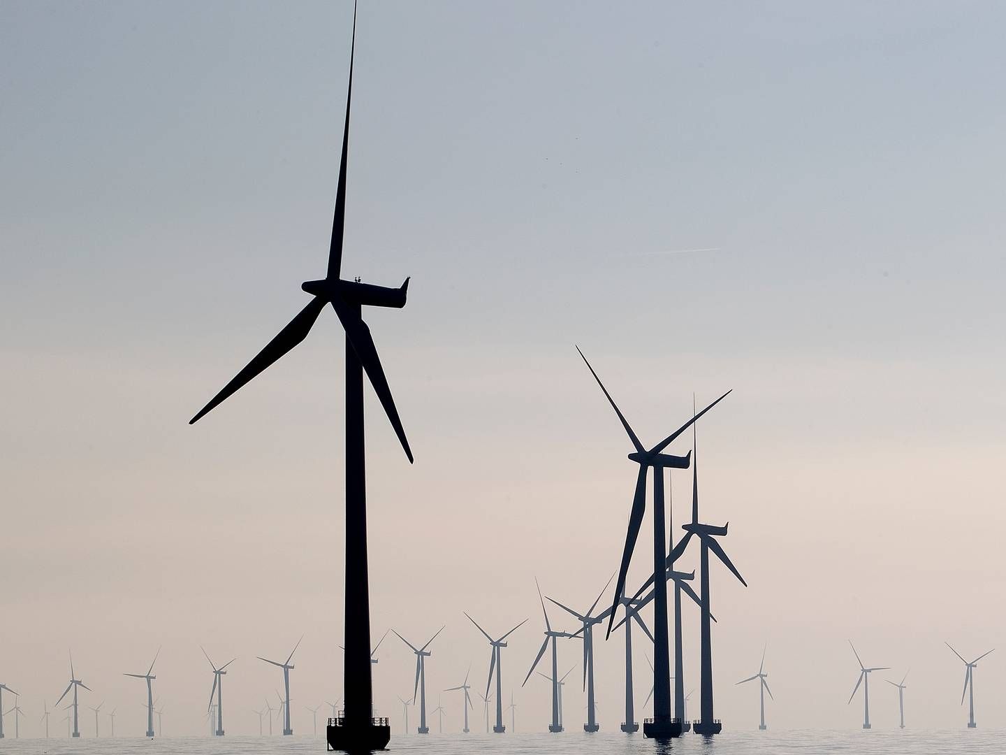 PFA has not yet decided whether the pension company will invest in projects from the upcoming Danish offshore wind tenders | Photo: Photo: Finn Frandsen/Politiken/Ritzau Scanpix