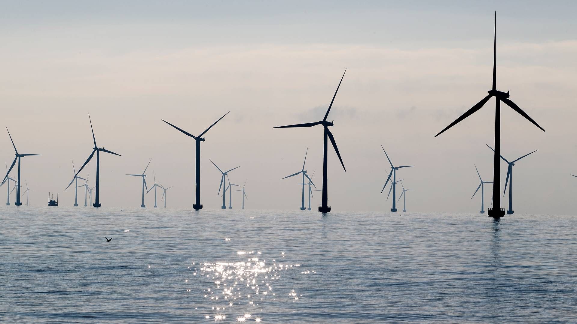 The offshore wind plans from Denmark, Germany, the Netherlands and Belgium mean enormous investments in order to multiply the offshore wind capacity in the North Sea to 150 GW in 2050. | Photo: Finn Frandsen/Politiken/Ritzau Scanpix