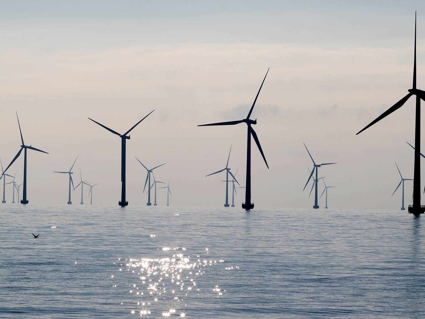 The offshore wind plans from Denmark, Germany, the Netherlands and Belgium mean enormous investments in order to multiply the offshore wind capacity in the North Sea to 150 GW in 2050. | Photo: Finn Frandsen/Politiken/Ritzau Scanpix