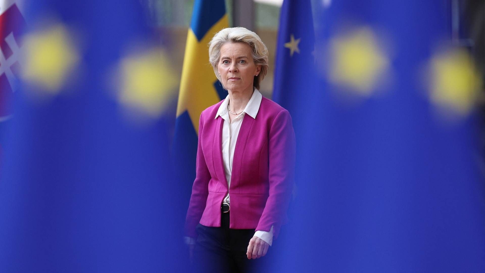 EU-kommissionsformand Ursula von der Leyen mener, de nye regler vil beskytte arbejdets værdi. | Foto: Kenzo Tribouillard/AFP / AFP