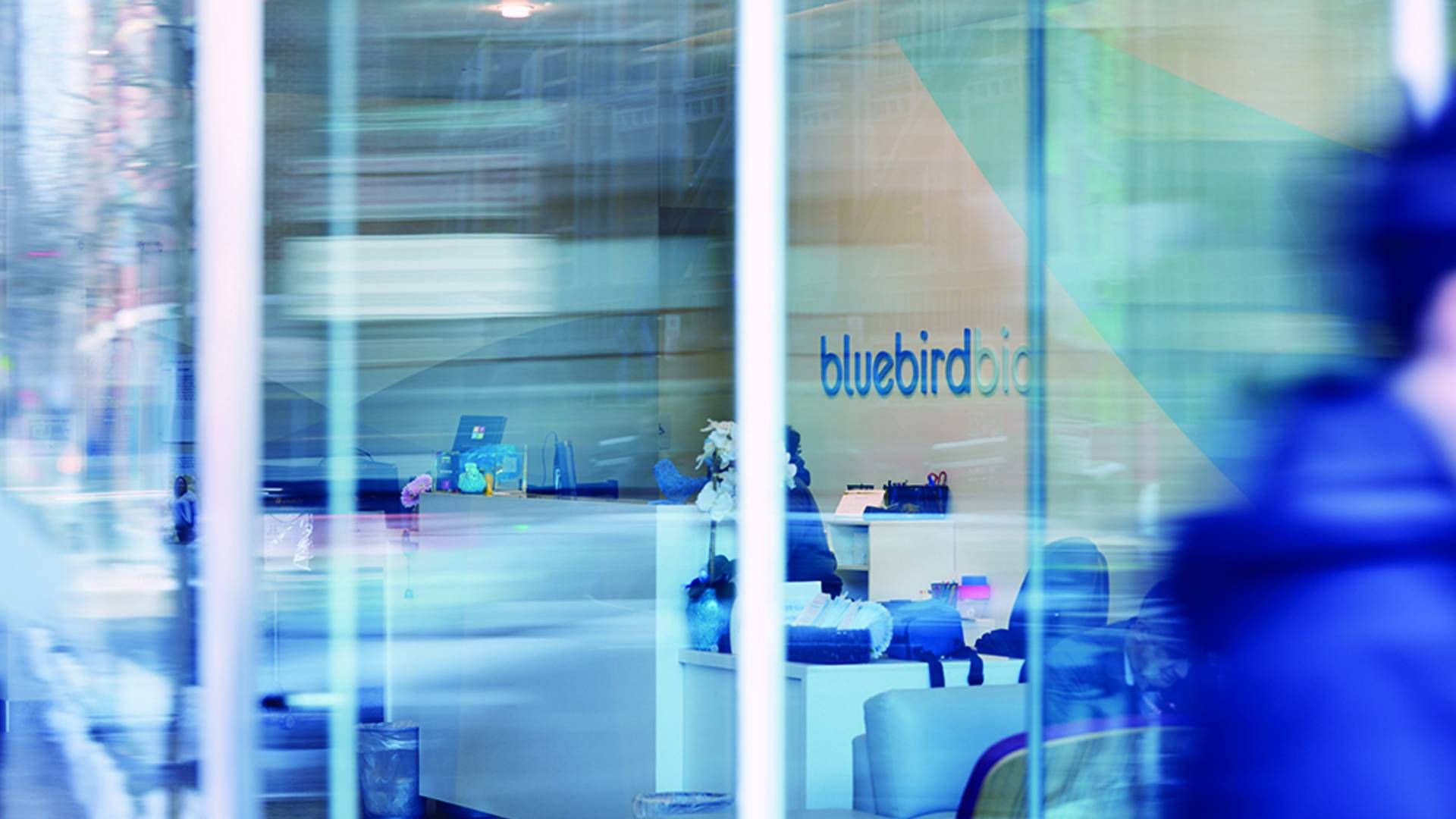 Foto: Bluebird Bio / PR