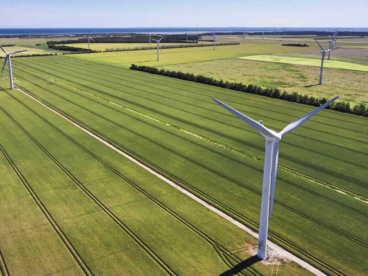 Overgaard-projektet i Kronjylland blev repoweret med støtte fra de første teknologineutrale udbud. Udviklingen er dog løbet fra den slags, mener Energistyrelsen. | Foto: SE Blue Renewables