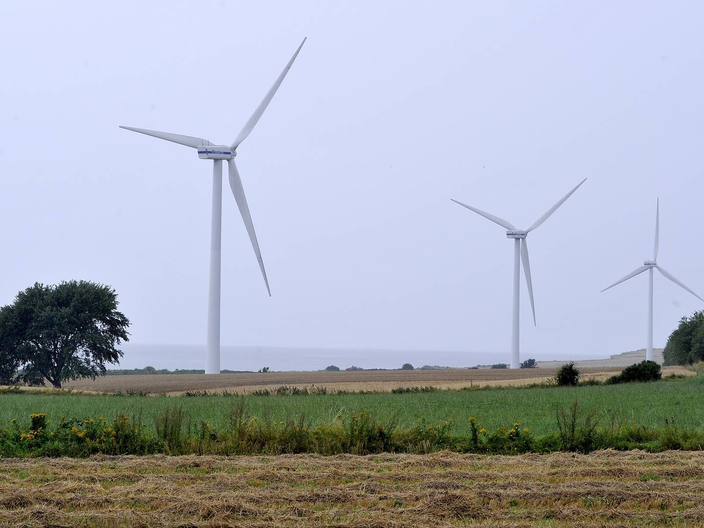 Regeringen vil have fjernet begrænsning på vindmøller på land. | Foto: Carsten Andreasen/IND