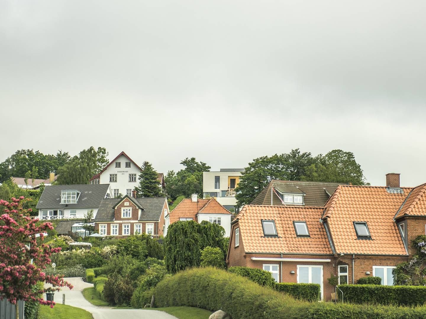 Opkøbet af Handelsbanken indkluderer ejendomsmæglermæde med ophav i det nordsjællandske. | Foto: Michael Hansen/Ritzau Scanpix