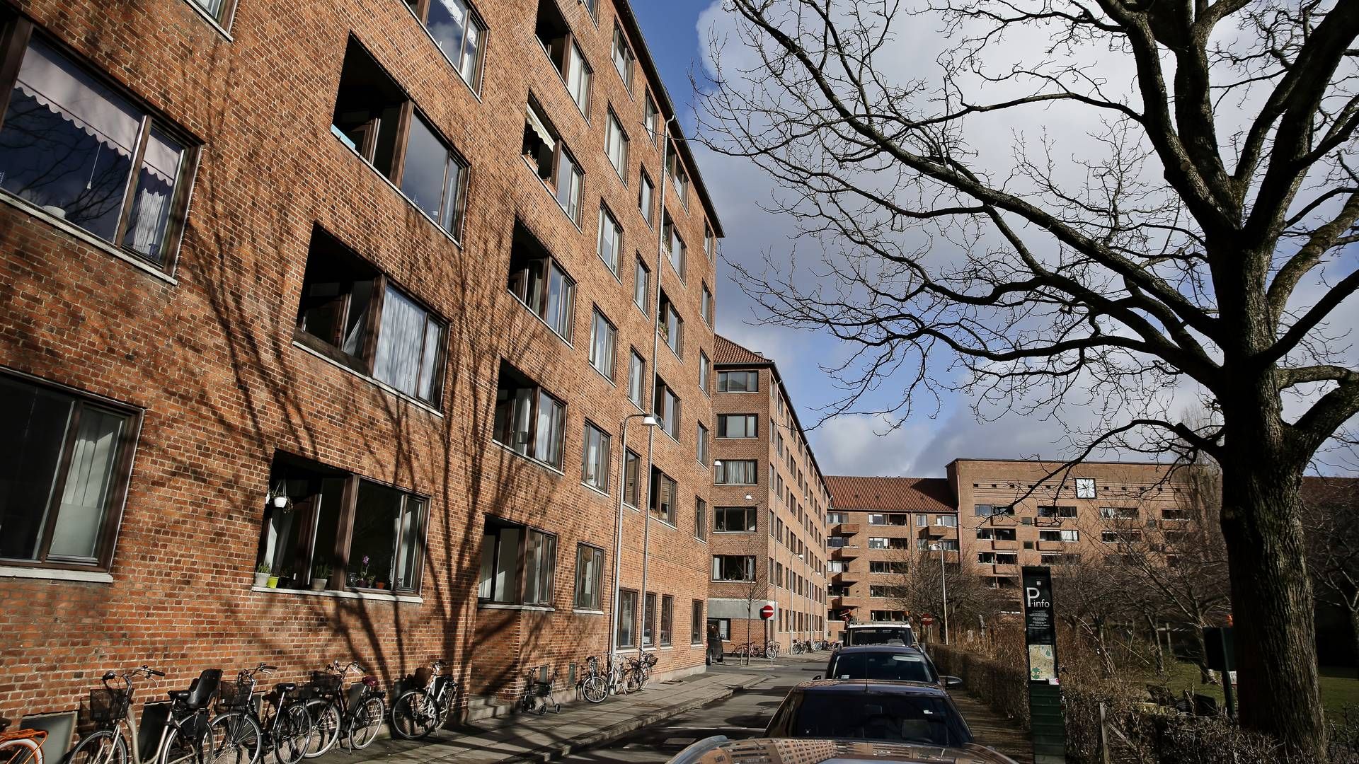 Udviklingen er stadig for nedadgående, hvad angår advokater, der administrerer ejendomme, lyder det fra formand for Foreningen af Advokater med Ejendomsadministration. | Foto: Jens Dresling