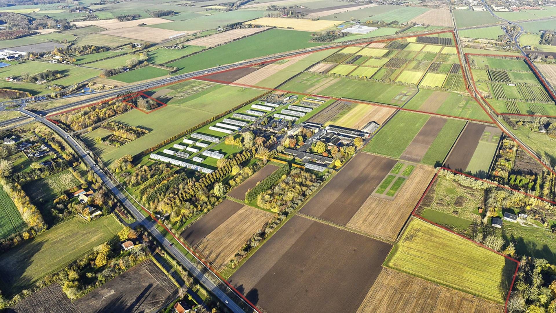 Området, hvor den nye Odense Dry Port skal bygges | Foto: Odense Havn/ PR