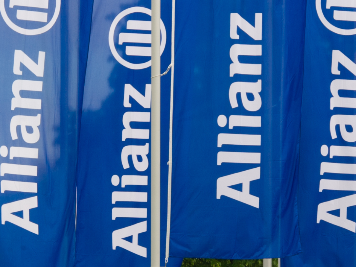 Schriftzug der Allianz auf Fahnen (Symbolbild) | Foto: picture alliance / dpa | Peter Kneffel