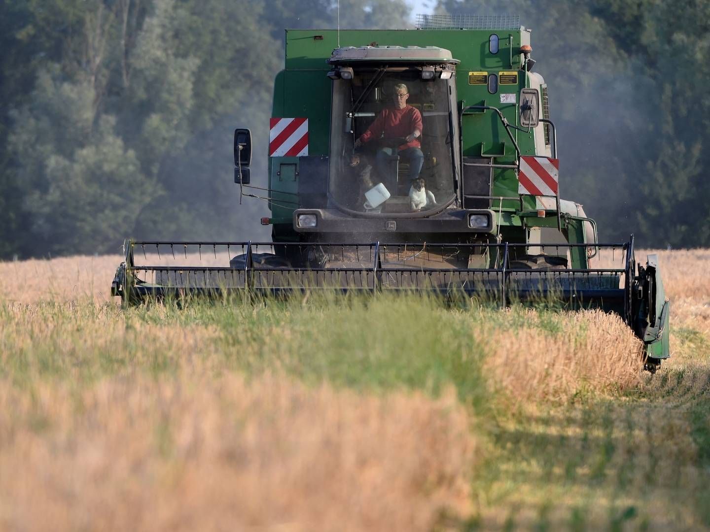 Blandt andet Frankrig har været undersøgt tæt i en ny rapport fra EU's interne vagthund om risikoen for svindel med landbrugsstøtte. (ARKIV) | Foto: JEAN-FRANCOIS MONIER/AFP / AFP