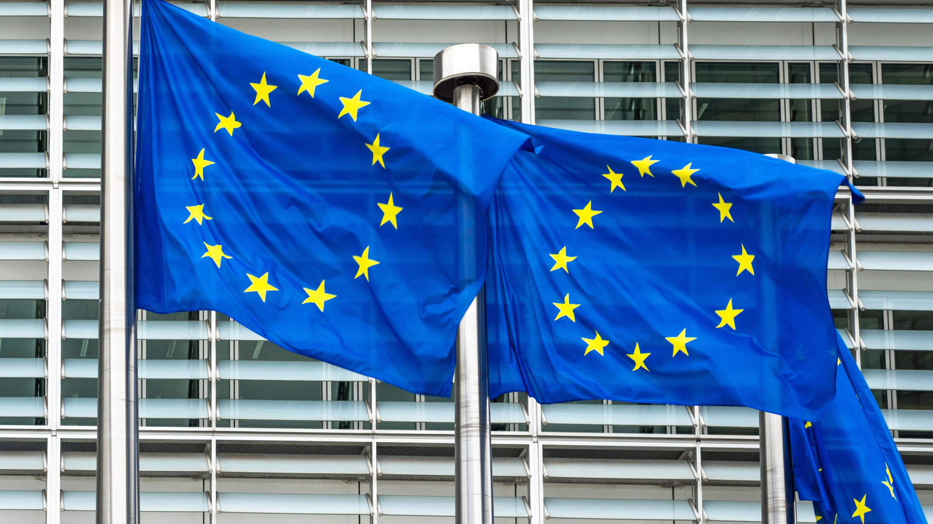 Flaggen vor dem Sitz der Europäischen Kommission | Foto: picture alliance / Daniel Kalker