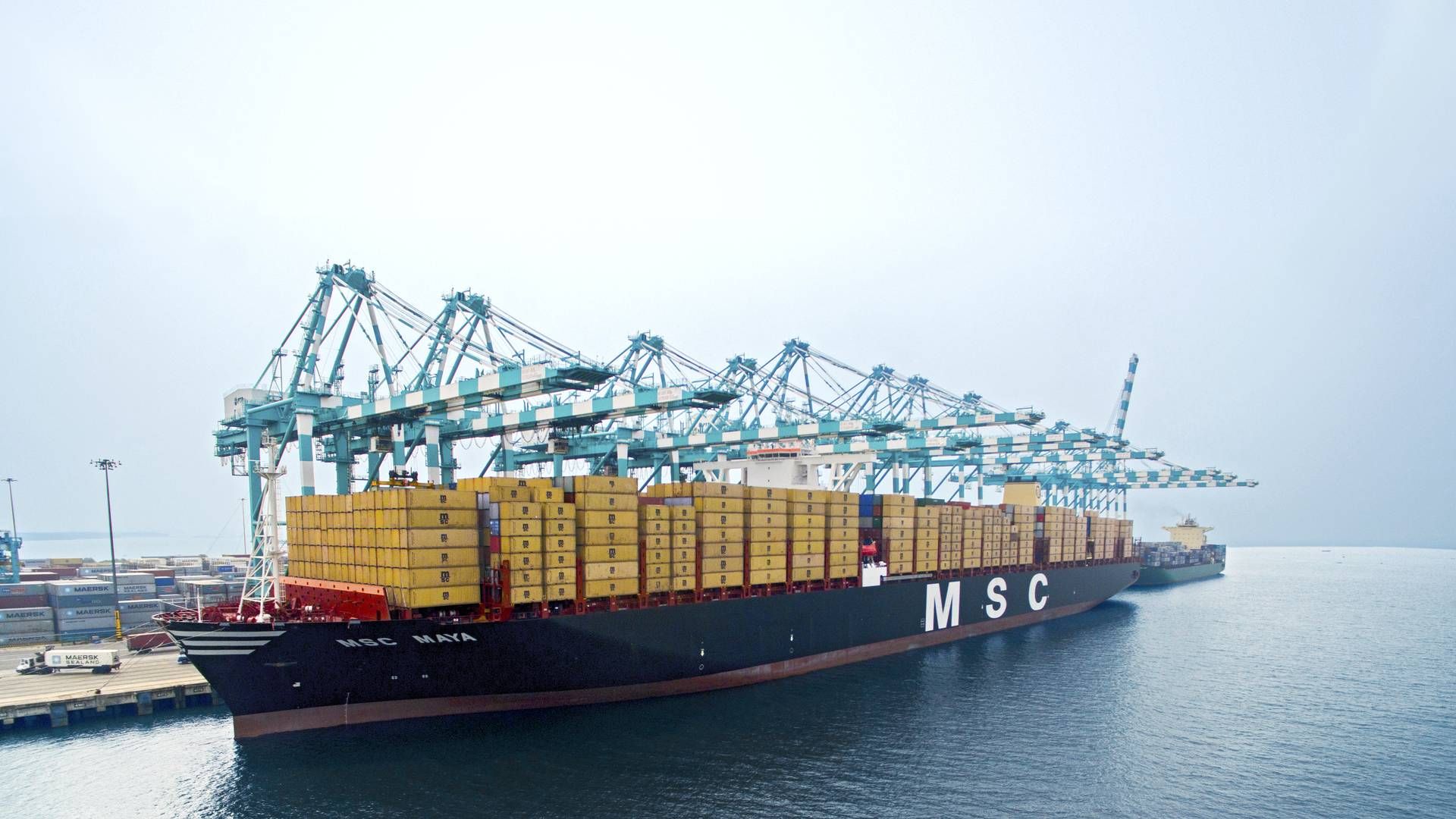 The world's largest container carrier, MSC, currently has 118 ships under construction at shipyards, corresponding to more than a third of the existing fleet. | Photo: PR / MSC
