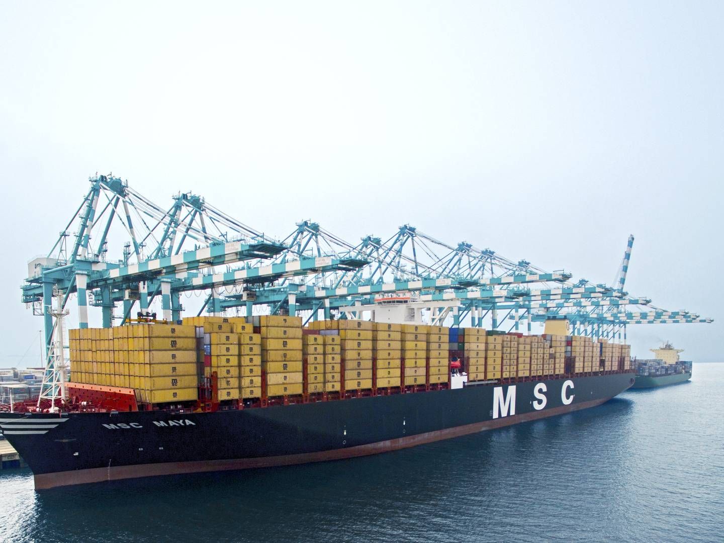 The world's largest container carrier, MSC, currently has 118 ships under construction at shipyards, corresponding to more than a third of the existing fleet. | Photo: PR / MSC
