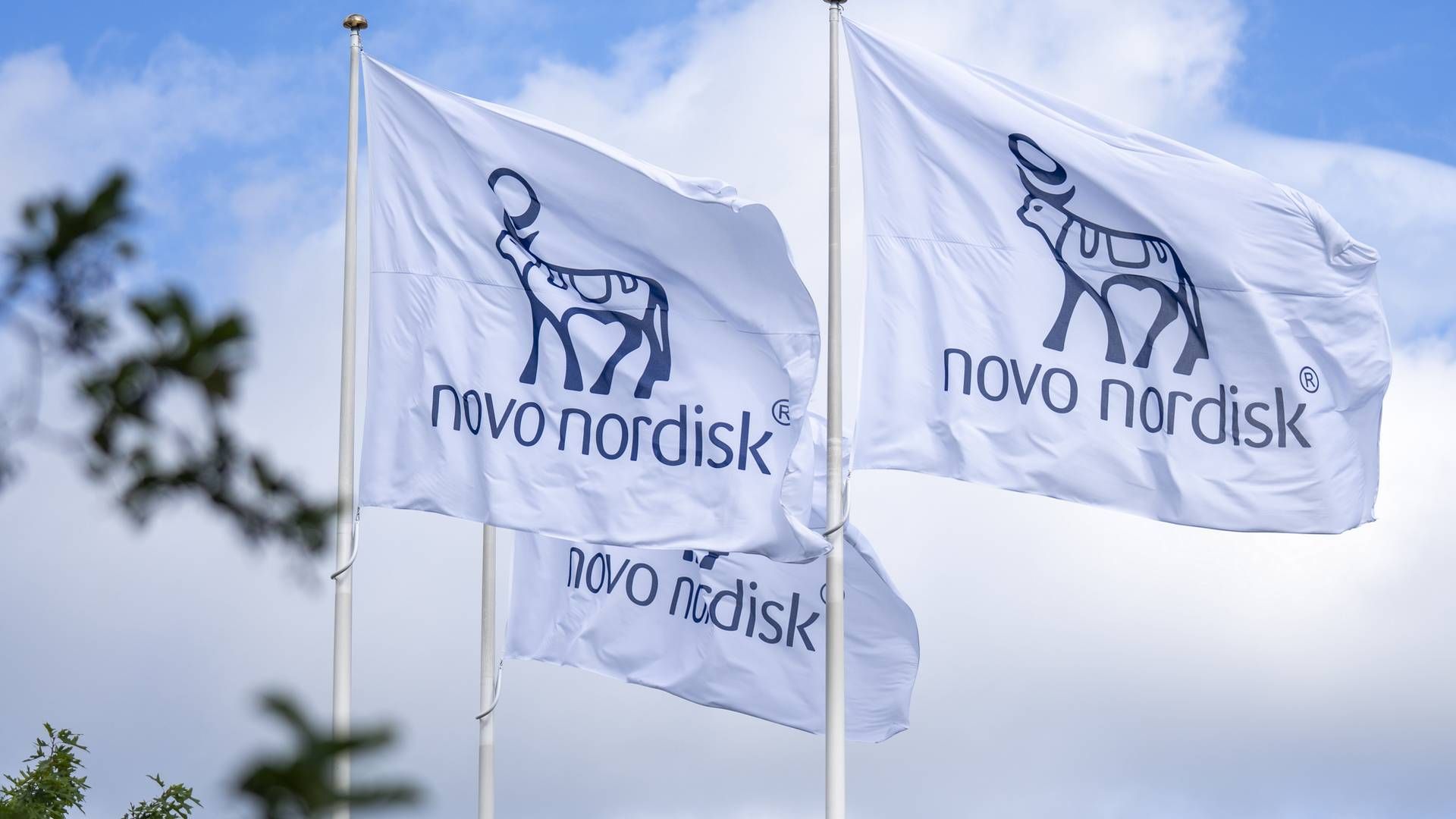 Foto: Novo Nordisk / PR