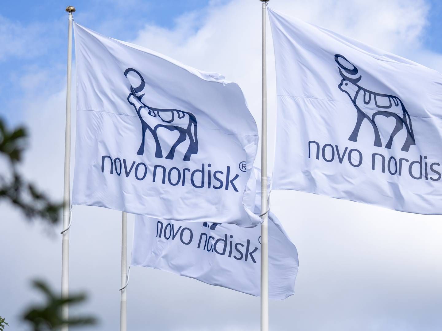 Foto: Novo Nordisk / PR