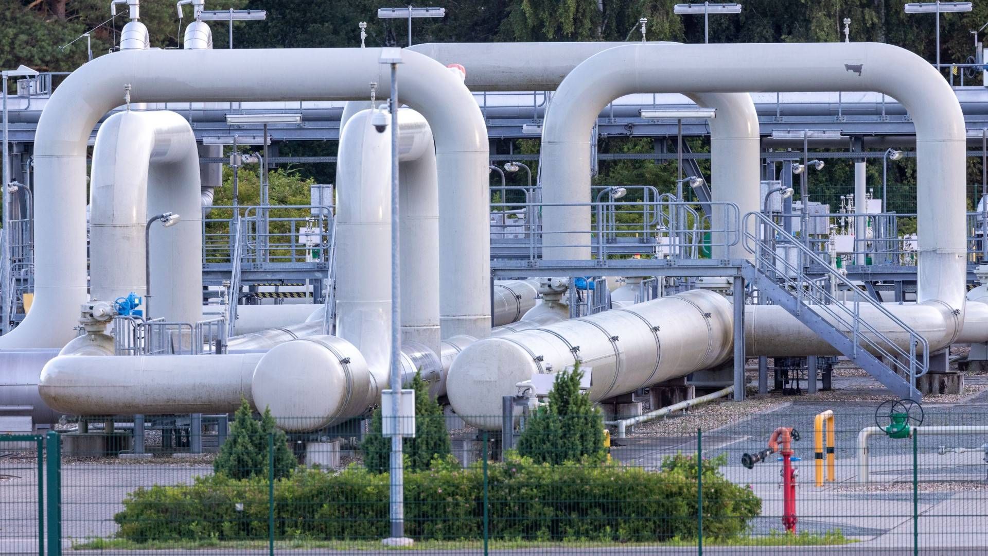 Die Ostseepipeline Nord Stream 1 | Foto: picture alliance/dpa | Jens Büttner