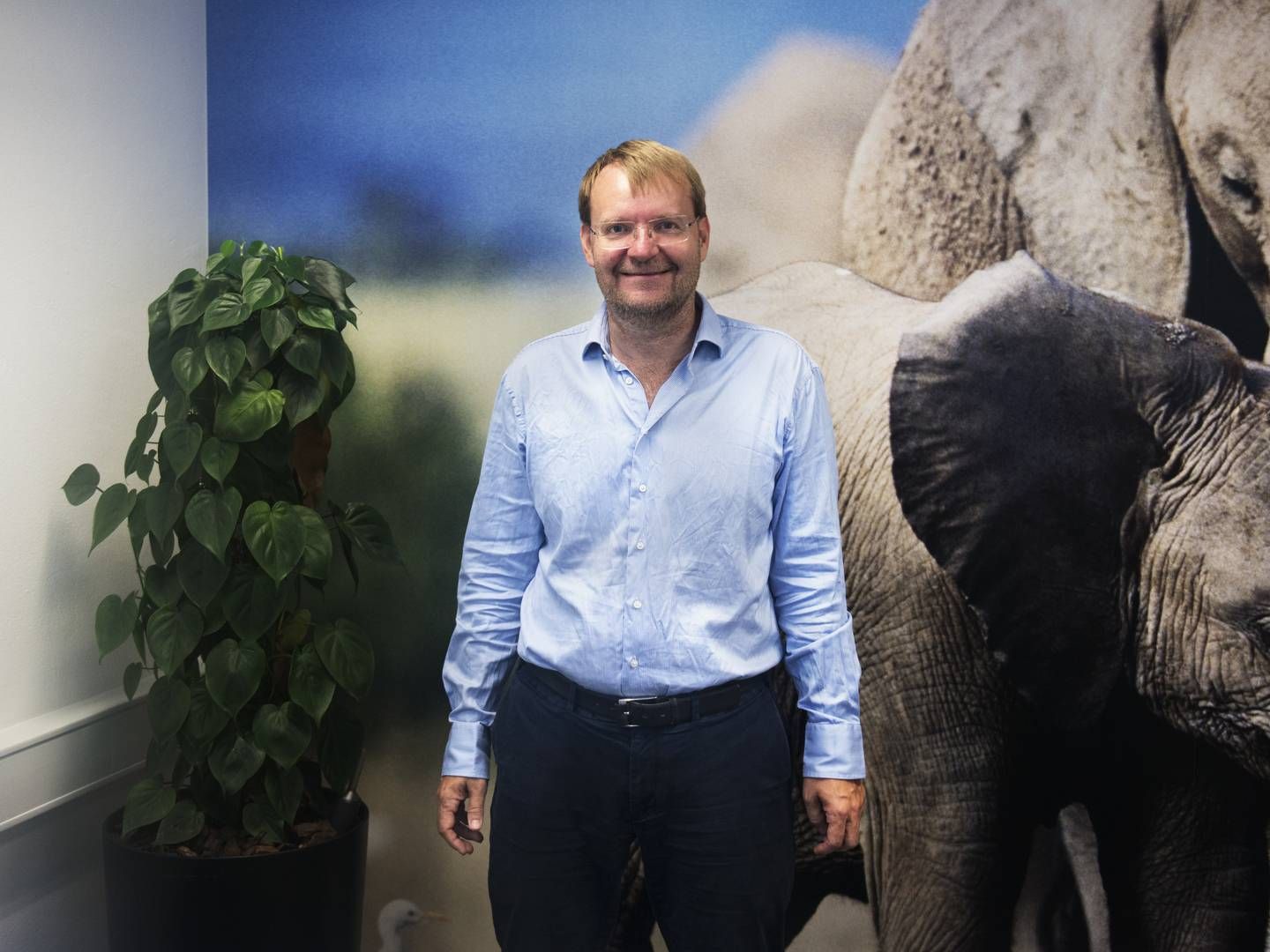 Kaare Danielsen, adm. direktør i Jobindex, mener ikke der er tvivl om, at dampen er ved at gå lidt af jobmarkedet. | Foto: Casper Holmenlund Christensen/ERH