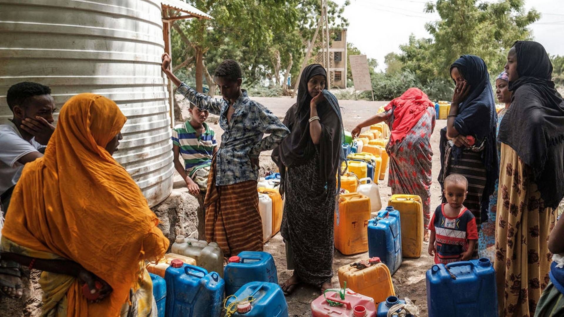 Stigende fødevarepriser har sendt 71 millioner mennesker verden over ud i fattigdom - bare i løbet af de seneste tre måneder, viser tal fra UNDP. Etiopien er et af de lande, der risikerer at blive ramt af en fødevarekrise. (Arkivfoto) | Foto: Eduardo Soteras/Ritzau Scanpix