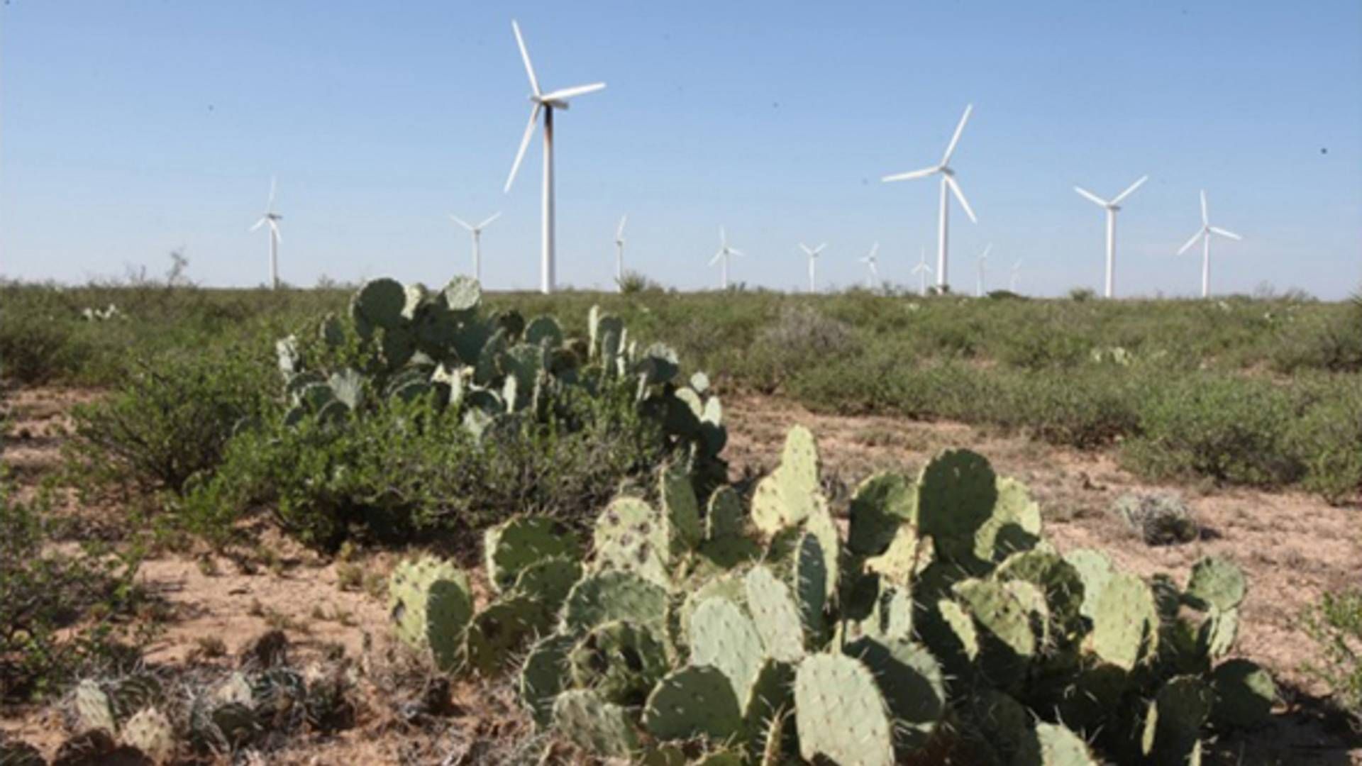 Onshore wind turbines in the state of Texas. | Photo: NextEra Energy/PR