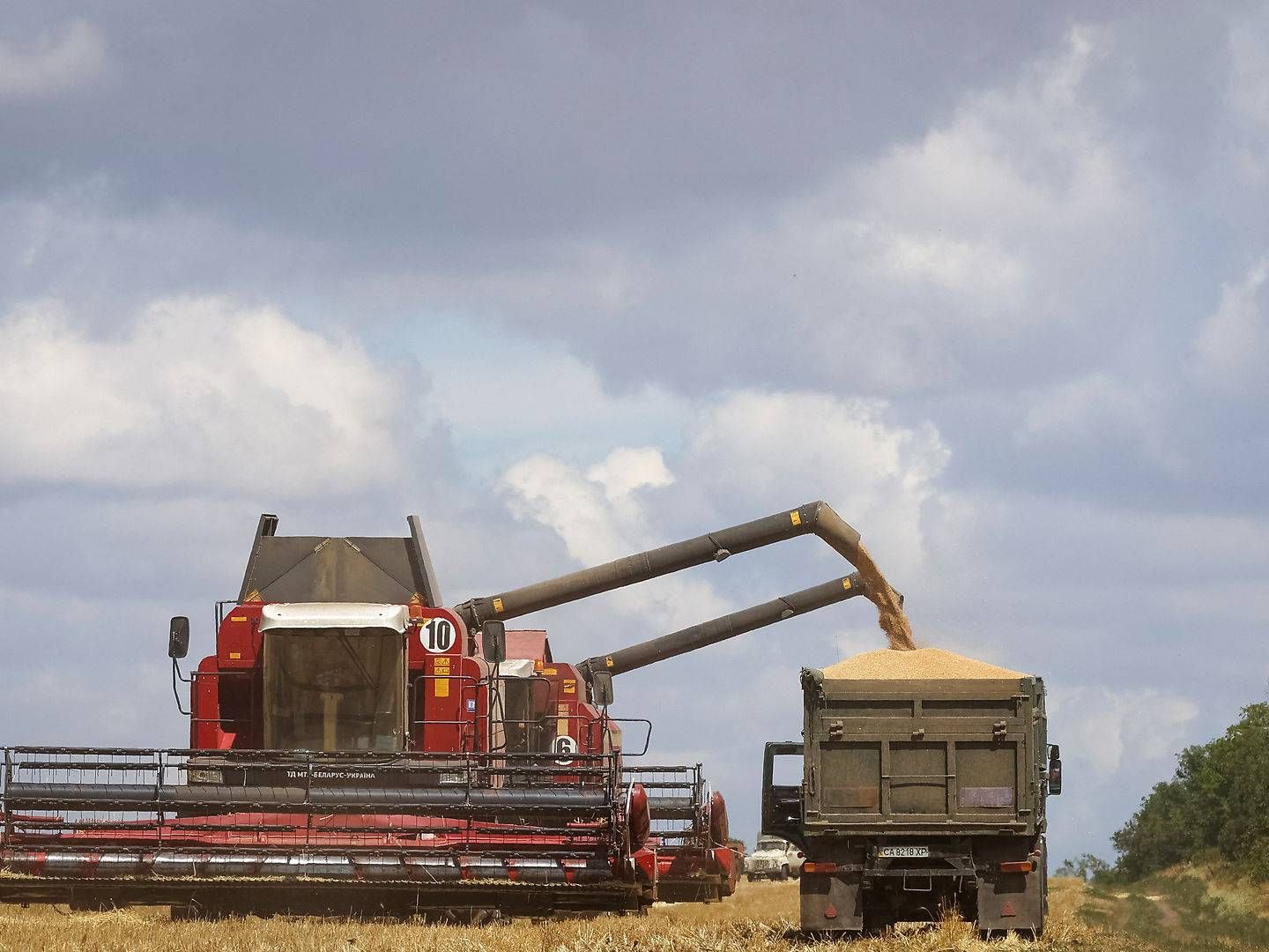 Resumption of Ukrainian grain exports could have a major impact on global food supply. | Photo: Alexander Ermochenko/Reuters/Ritzau Scanpix