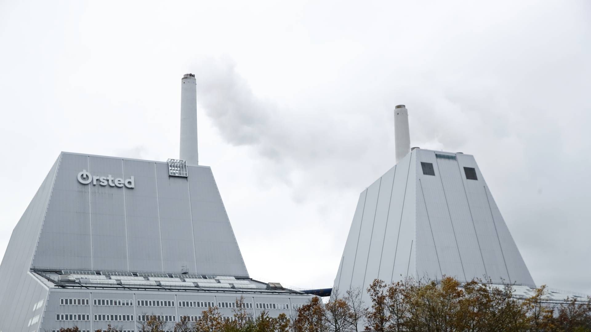 I øjeblikket fyrer f.eks. Avedvøreværket med biomassse i form af lokal halm fra landbrug. Men gavner ikke klimaet, selvom udledningen fra halm ikke tæller med i de officielle tal, viser nye tal fra Energistyrelsen. | Foto: Jens Dresling