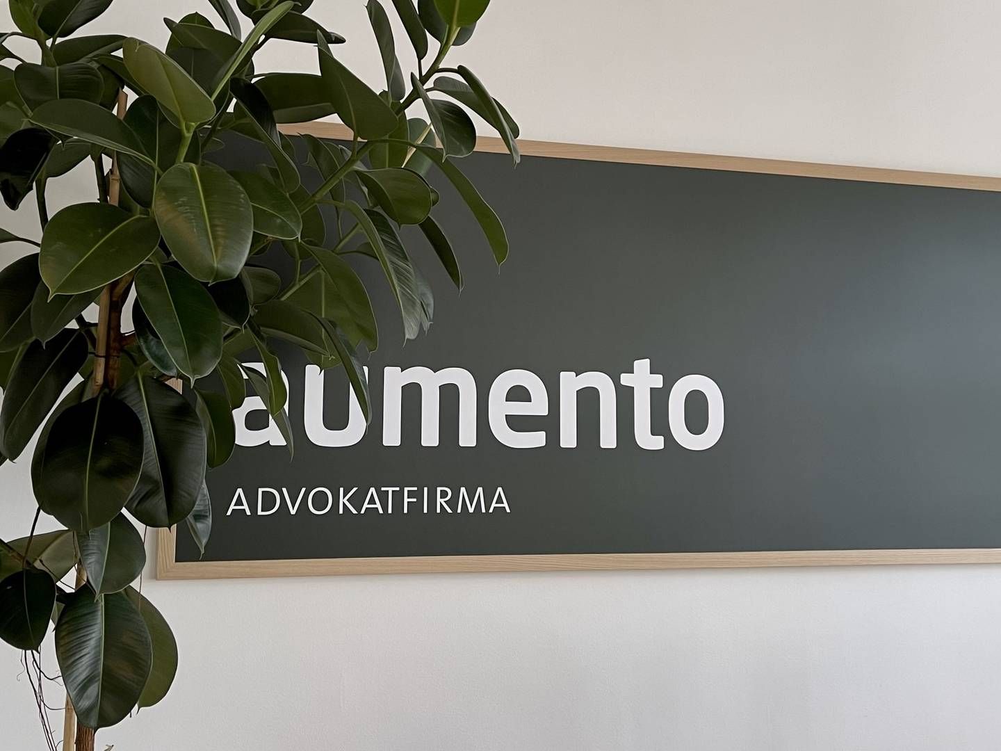 Advokaterne i Aumento markedsfører sig på samme platform og bor under samme tag på Ny Østergade i centrum af København. | Foto: Aumento / PR