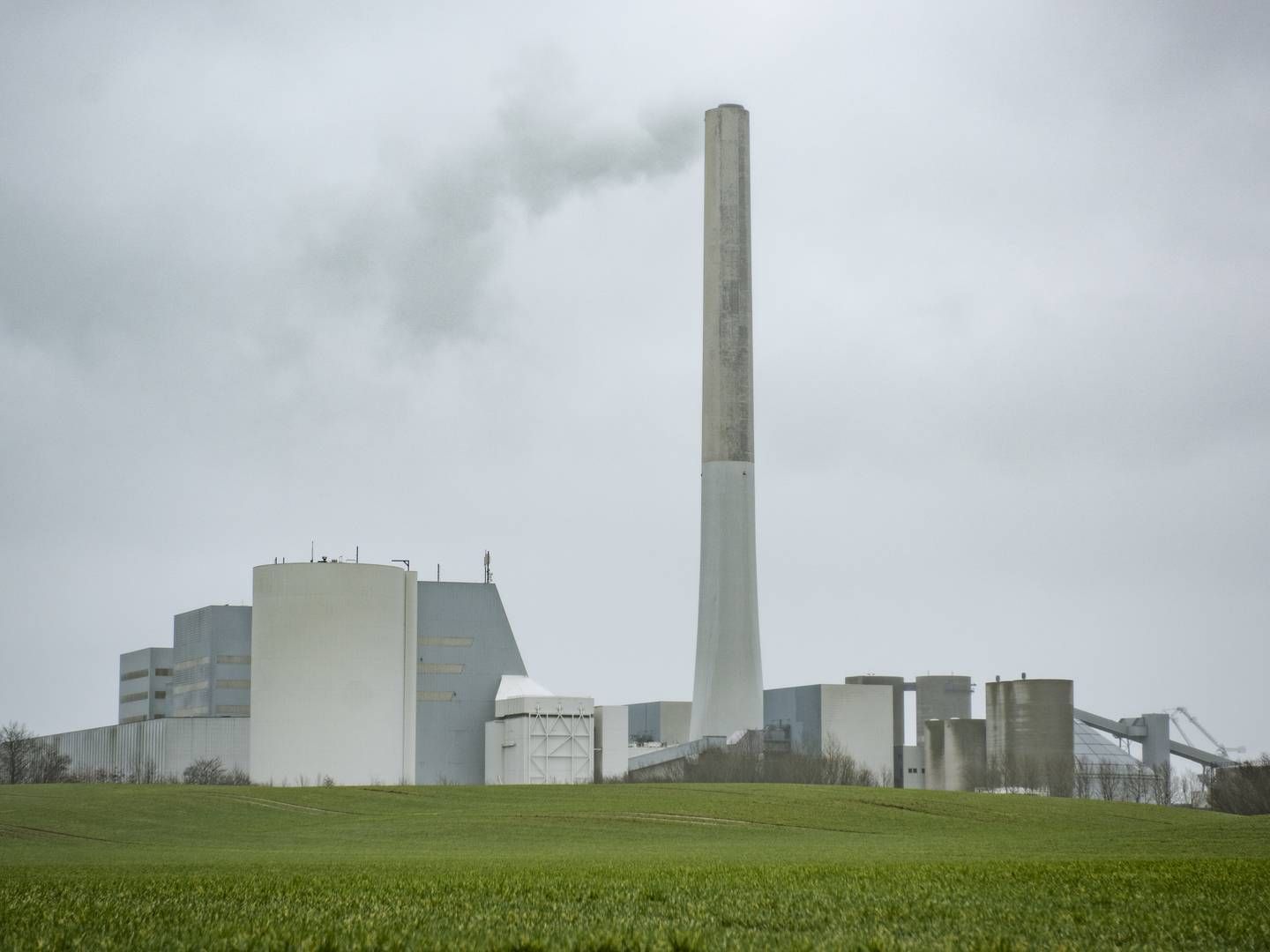 Fjernvarmeværker, der bruger biomasse, udleder en masse CO2, som ikke registreres. | Foto: Søren Vendelbo/JPA