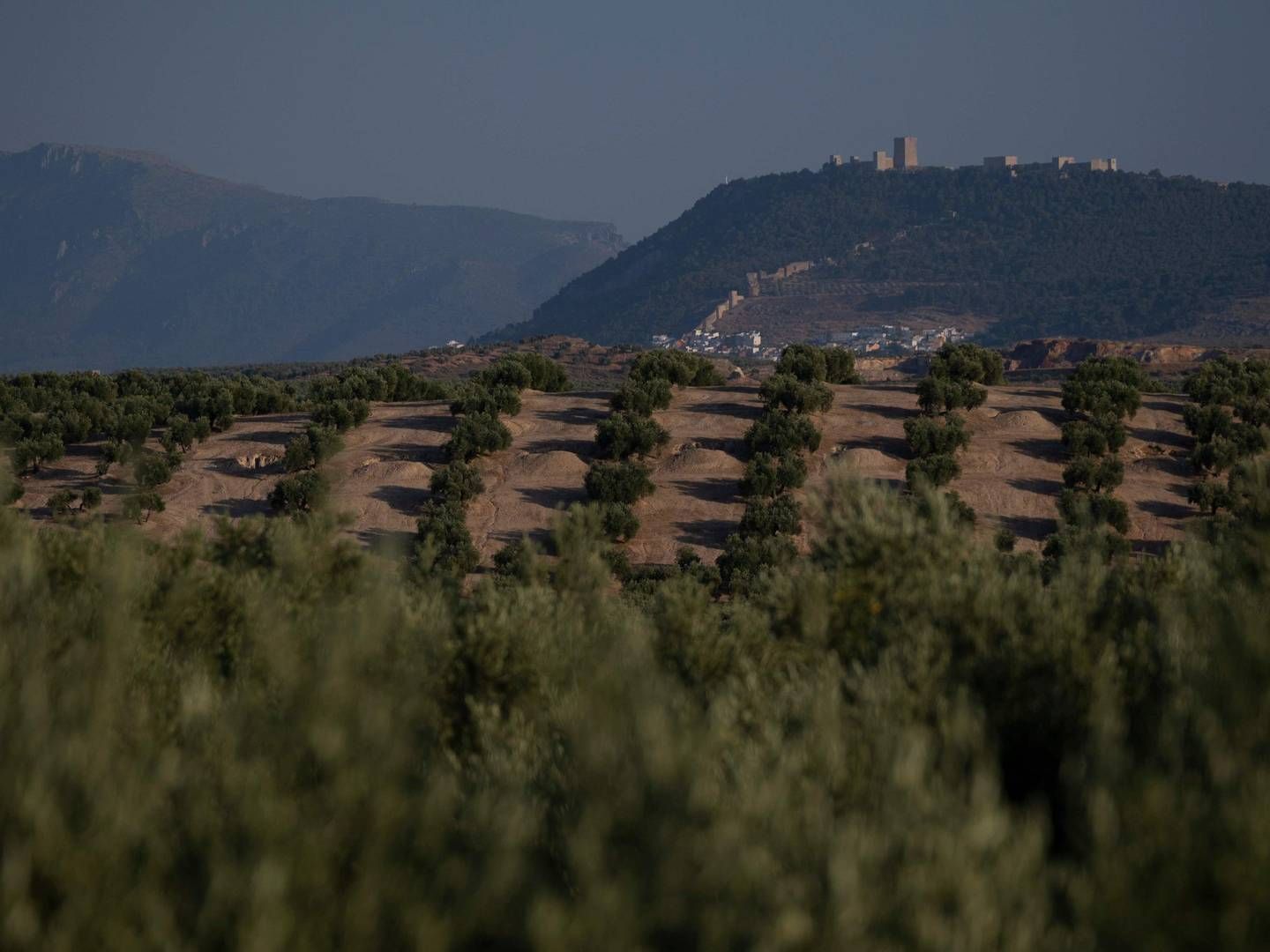 Foto: Pierre-Philippe Marcou/AFP/Ritzau Scanpix