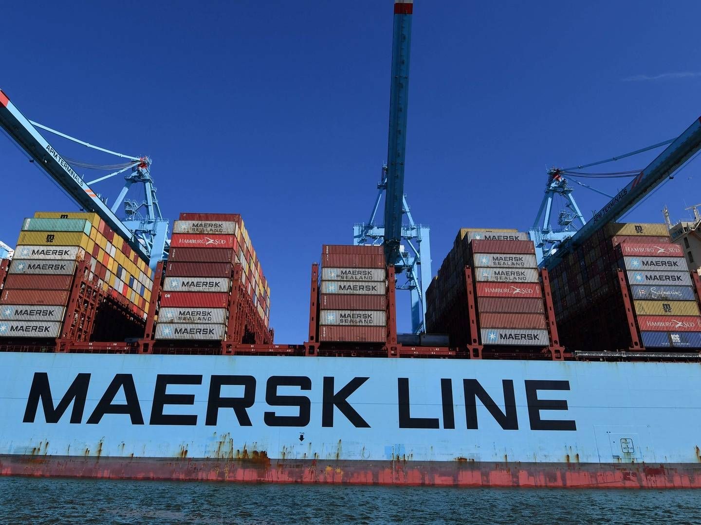 En stor stigning i fragtraterne har sendt overskuddet i vejret i Maersks | Foto: JOHN THYS/AFP / AFP