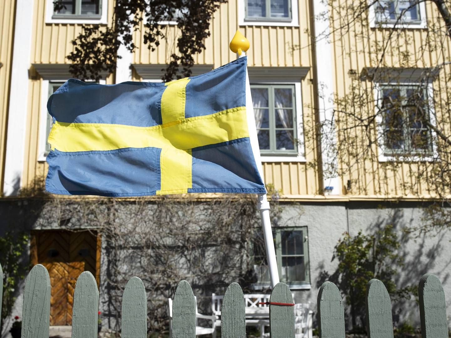 Swedish flag | Photo: Miriam Dalsgaard/Ritzau Scanpix/Ritzau Scanpix