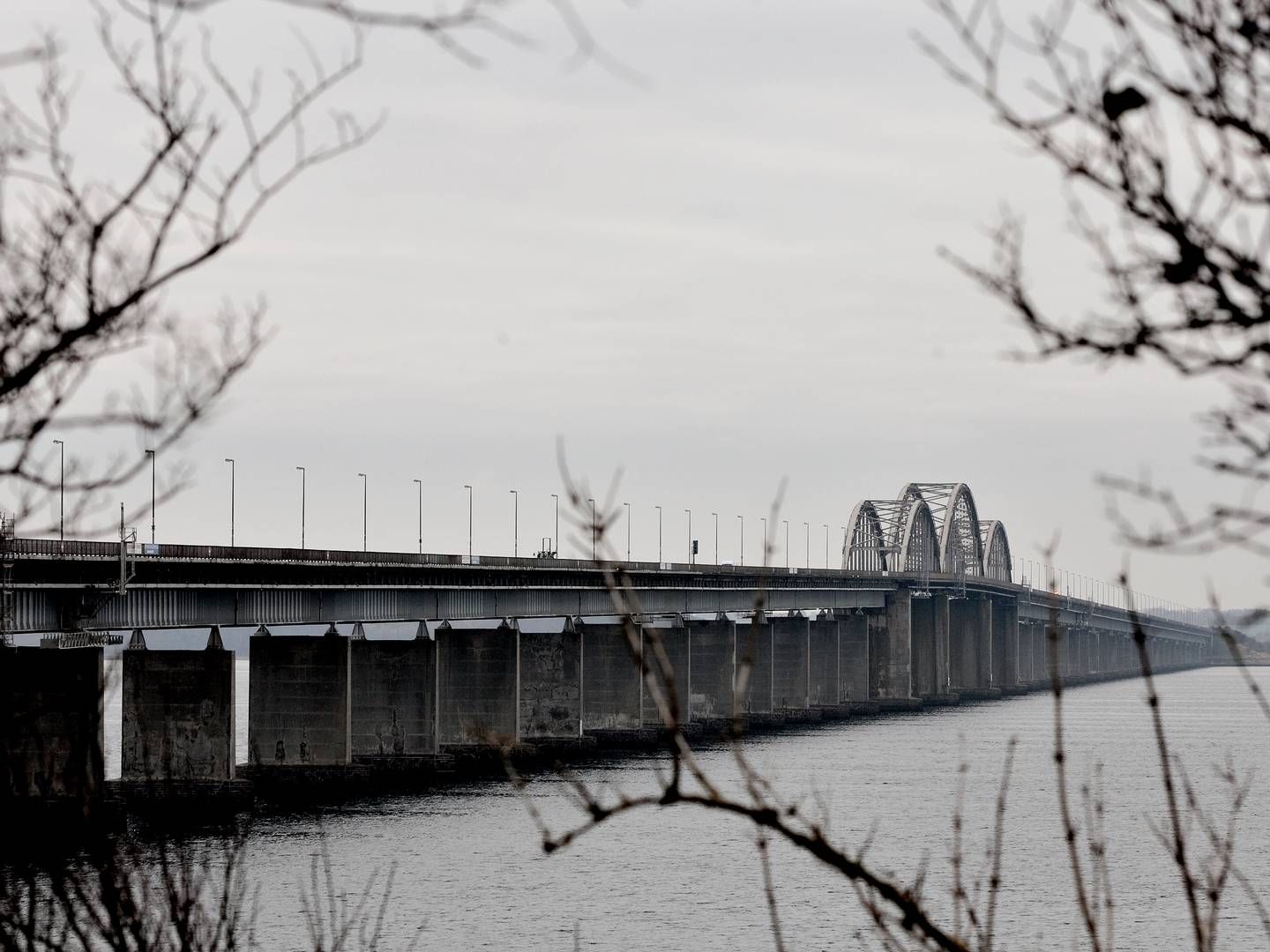 Foto: Joachim Adrian/Politiken/Ritzau Scanpix