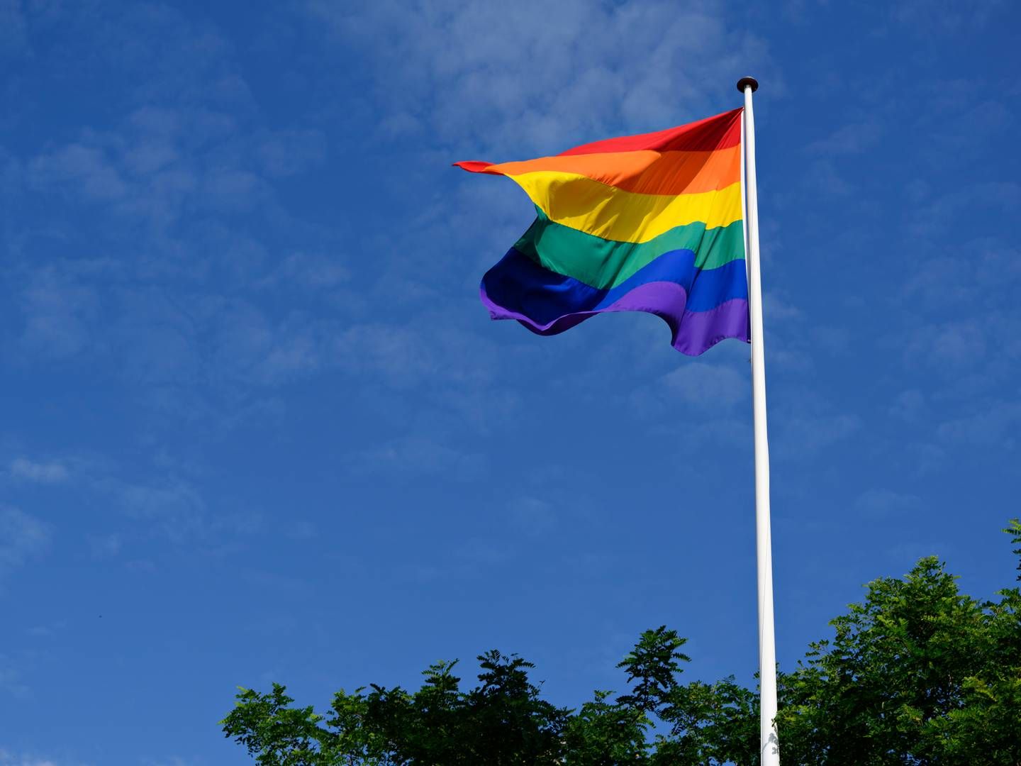 Flere advokatfirmaer ændrer profilbilleder på Linkedin til regnbuefarver, men kun to er at finde på listen over sponsorer til Copenhagen Pride. | Foto: Philip Davali/Ritzau Scanpix