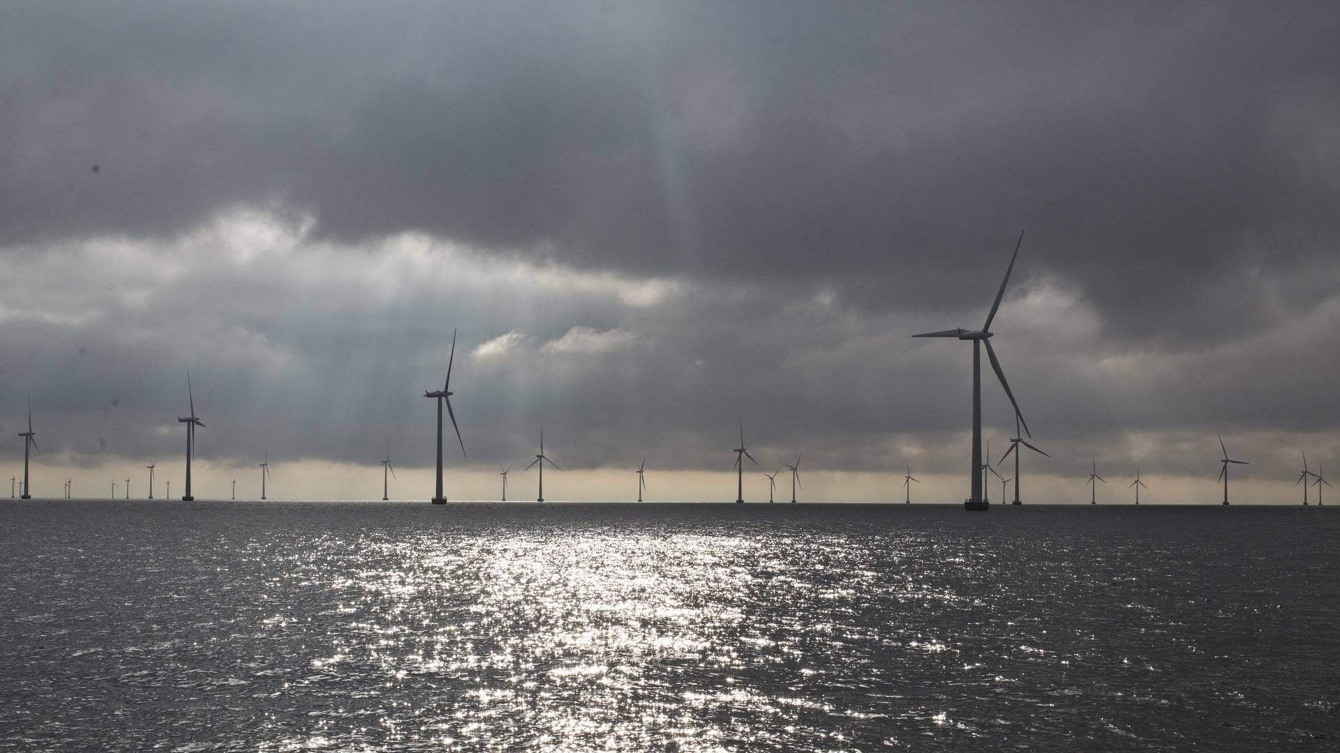 Rødsand 2 er den eneste havmøllepark, Andel har en andel i for nuværende. Det vil energiselskabet dog gerne ændre på. | Foto: Melissa Kühn Hjerrild