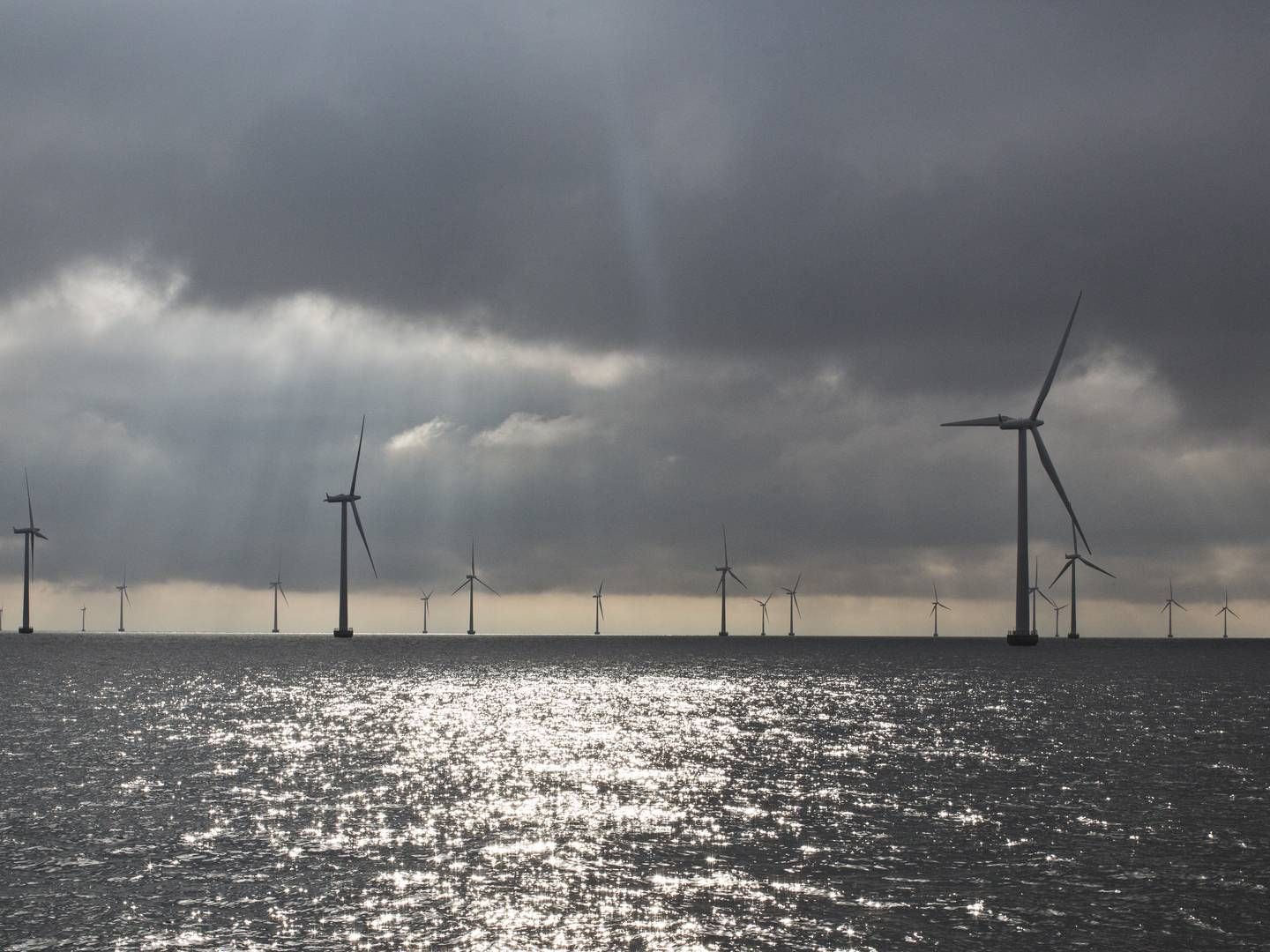 Rødsand 2 er den eneste havmøllepark, Andel har en andel i for nuværende. Det vil energiselskabet dog gerne ændre på. | Foto: Melissa Kühn Hjerrild