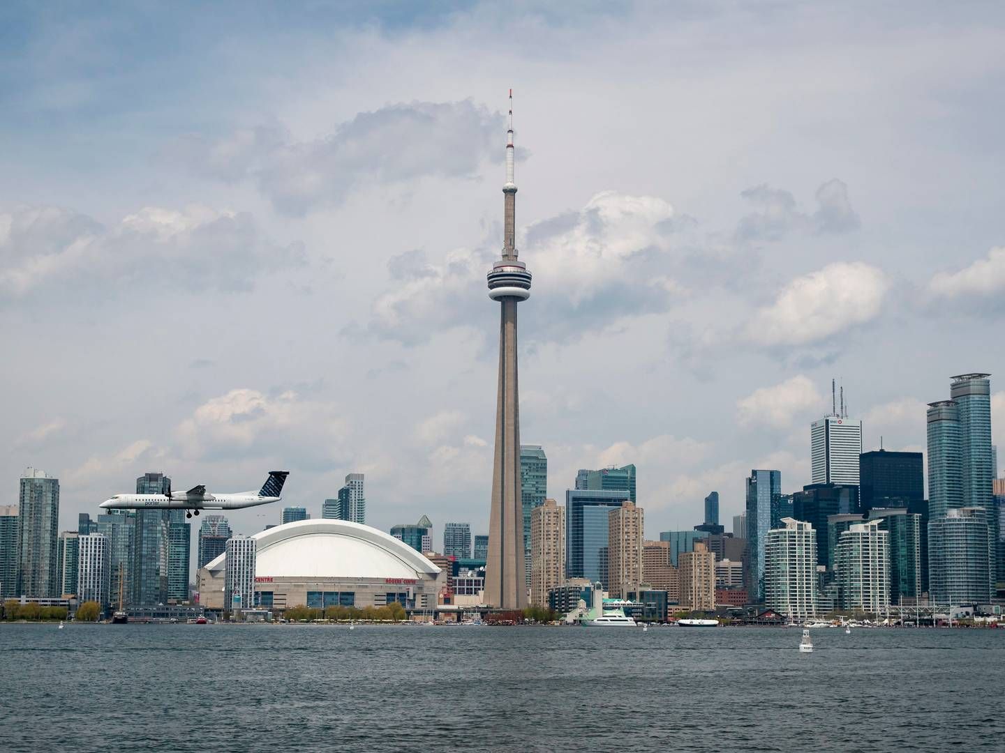 Fra Toronto i Canada skal Royal Unibrews nordamerikanske ambitioner føres ud i livet. | Foto: Daniel Karmann/Ritzau Scanpix