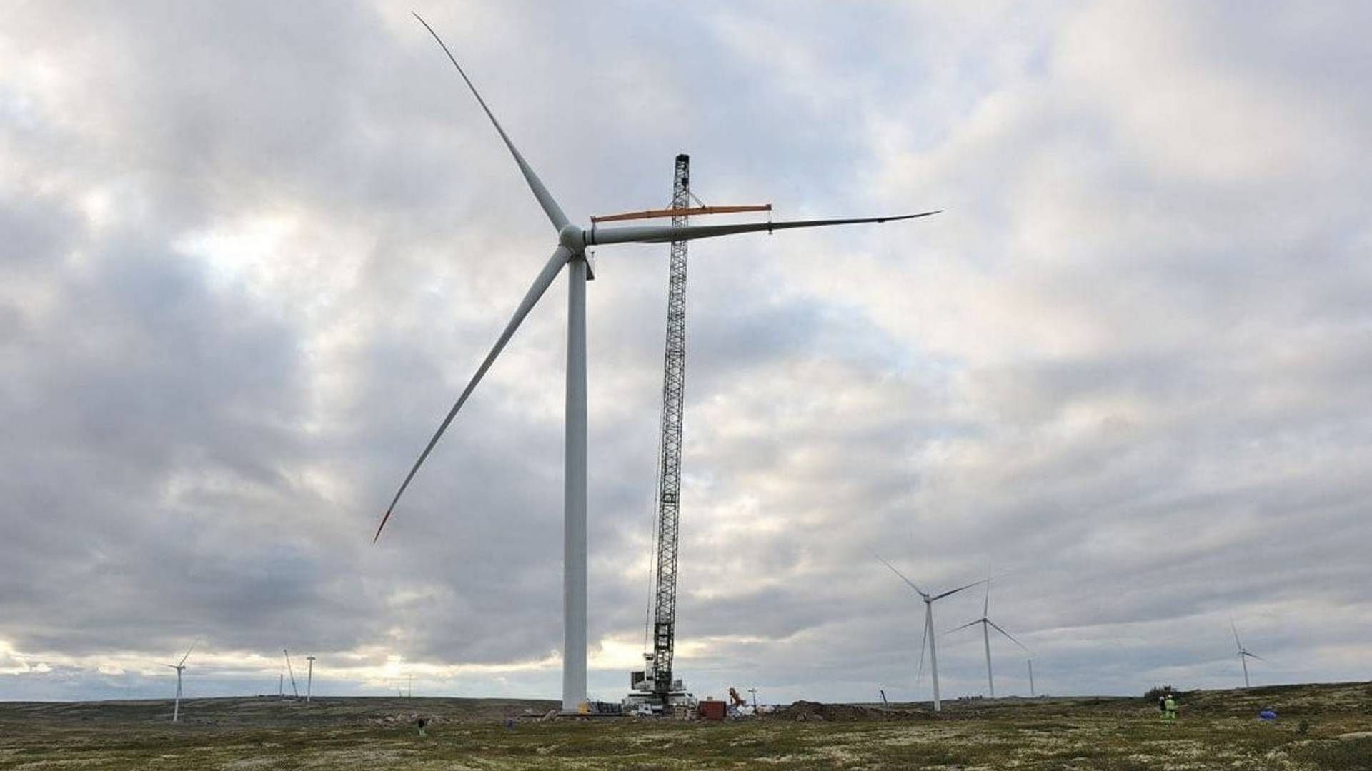 Siemens Gamesa sagsøges for kontraktbrud om vindparken Kolskaya på Kola-halveøn, hvor størstedelen af de 201 MW står klar. | Photo: PJSC Enel Russia