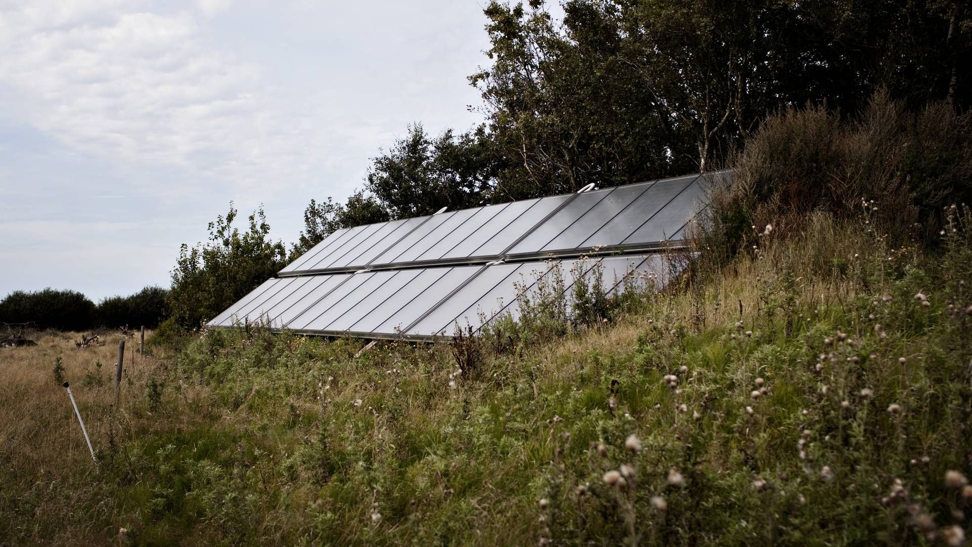 Mathias Møller Kristensen beskæftiger sig blandt andet med solceller, der sammen med vindmøller udgør et af forretningsområderne i advokatfirmaet Thorninger. | Foto: Mie Brinkmann