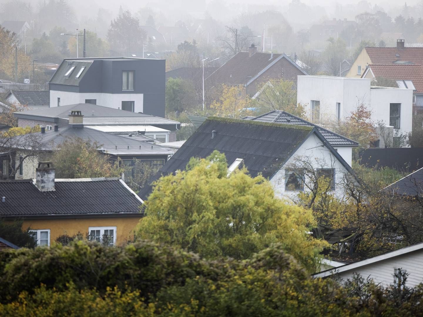 Økonomien hos boligejere, der har lån med lang afdragsfrihed, skal tjekkes mindst hvert andet år, hvis det står til Finanstilsynet. | Foto: Thomas Borberg