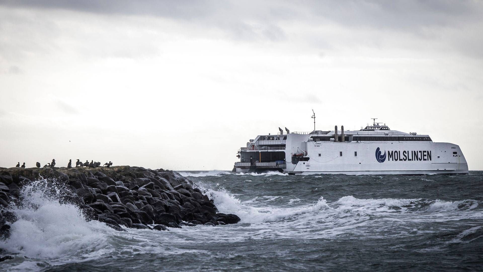 Foto: Jens Hartmann Schmidt/Ritzau Scanpix