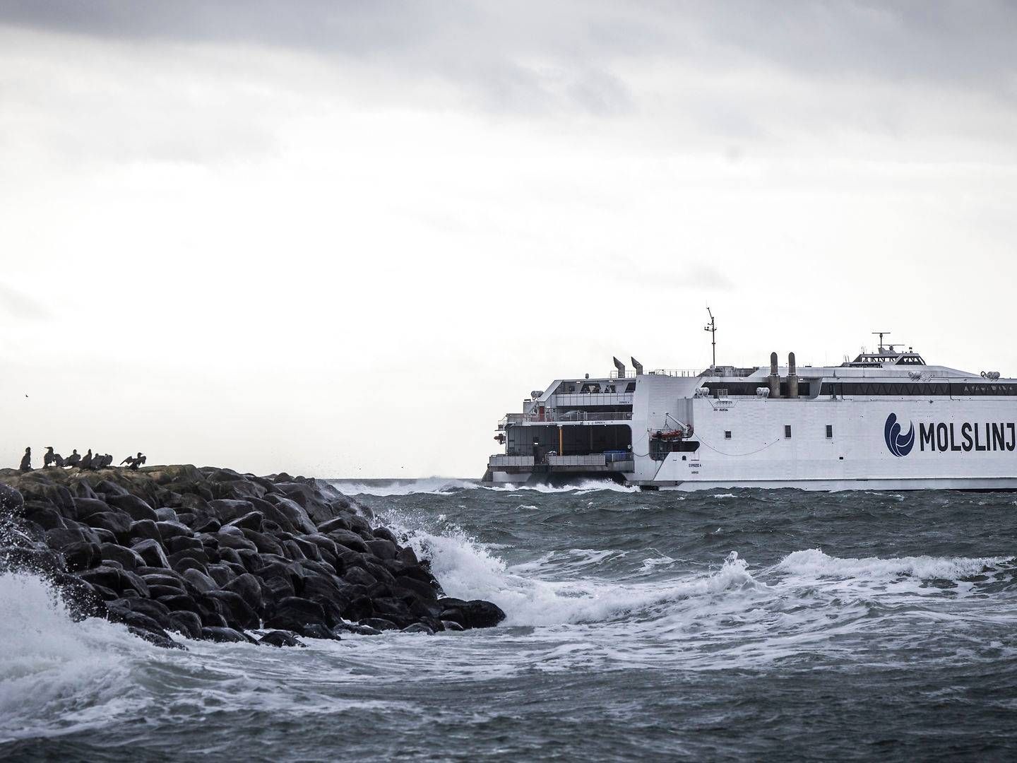 Foto: Jens Hartmann Schmidt/Ritzau Scanpix