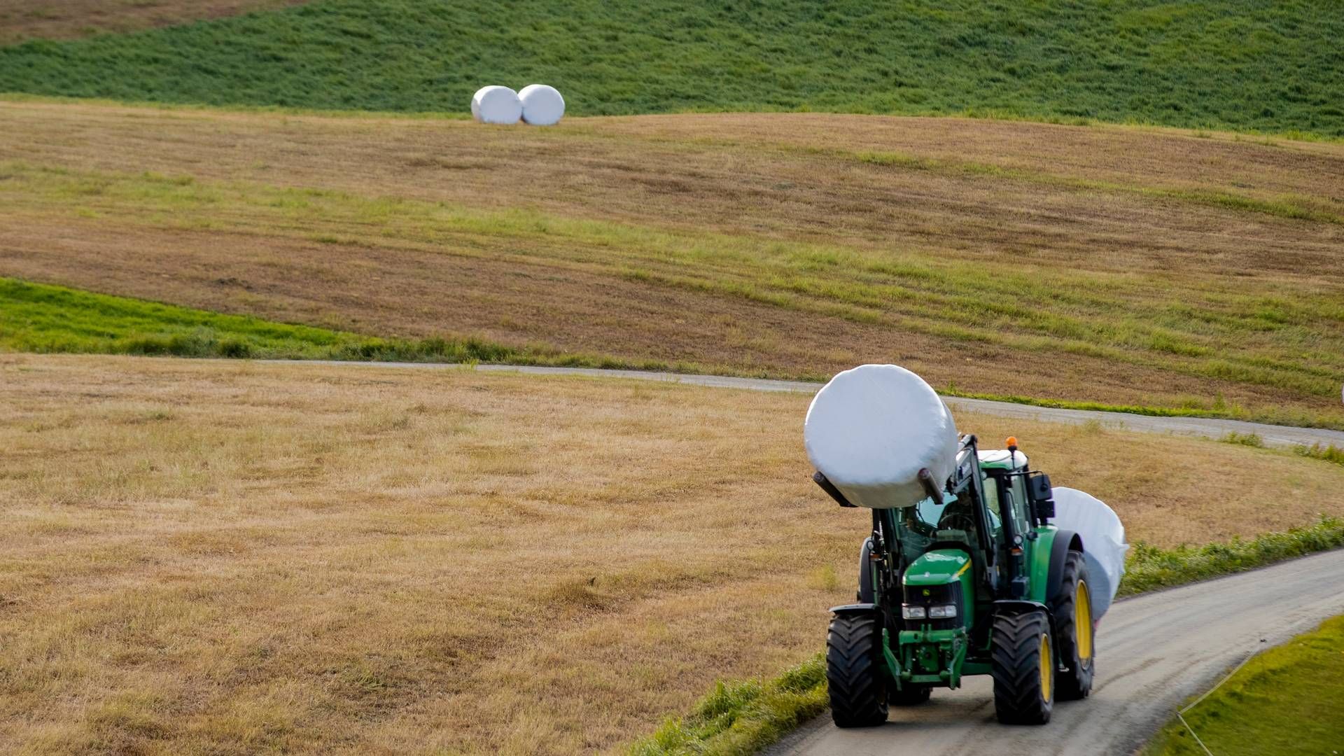 Landkreditt forsikring har mange av sine kunder fra norsk landbrukssektor. I 2. kvartal rapporterer selskapet om at utbetalingene til naturskade er normalisert. | Foto: Stian Lysberg Solum