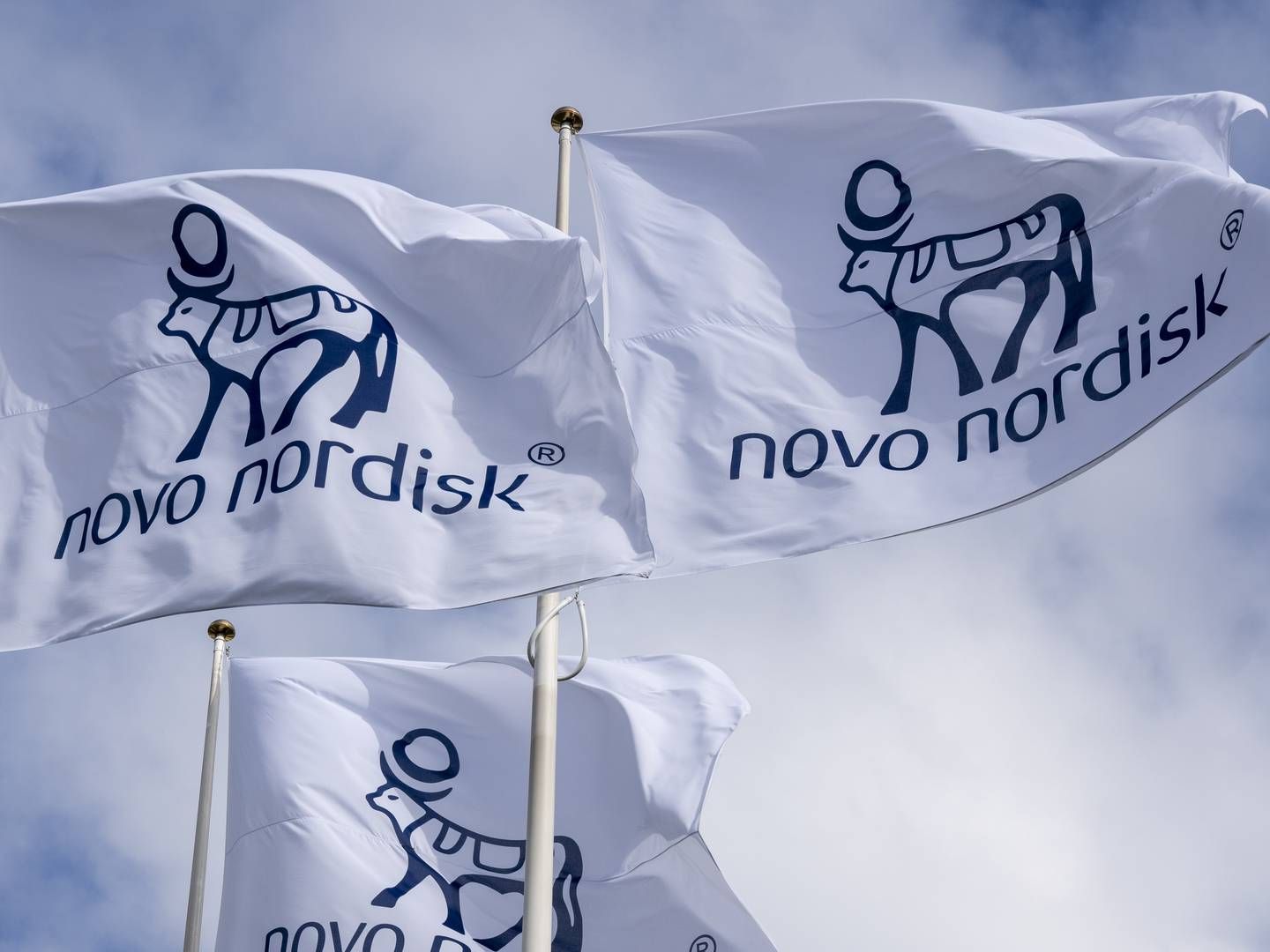 Photo: Novo Nordisk / PR