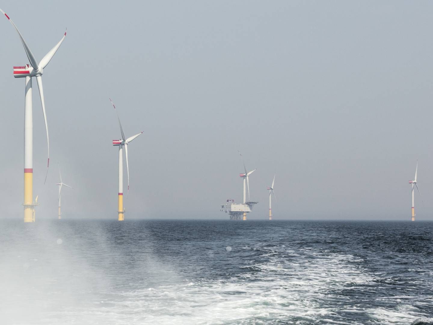 Photo: RWE Renewables/Paul-Langrock.de +49 172 3120 3