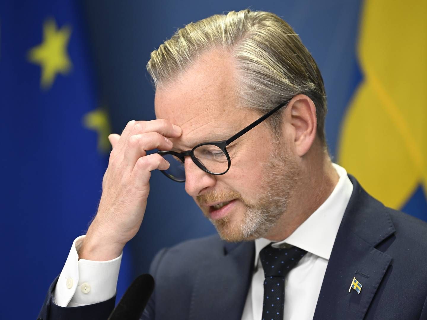 Swedish Finance Minister Mikael Damberg