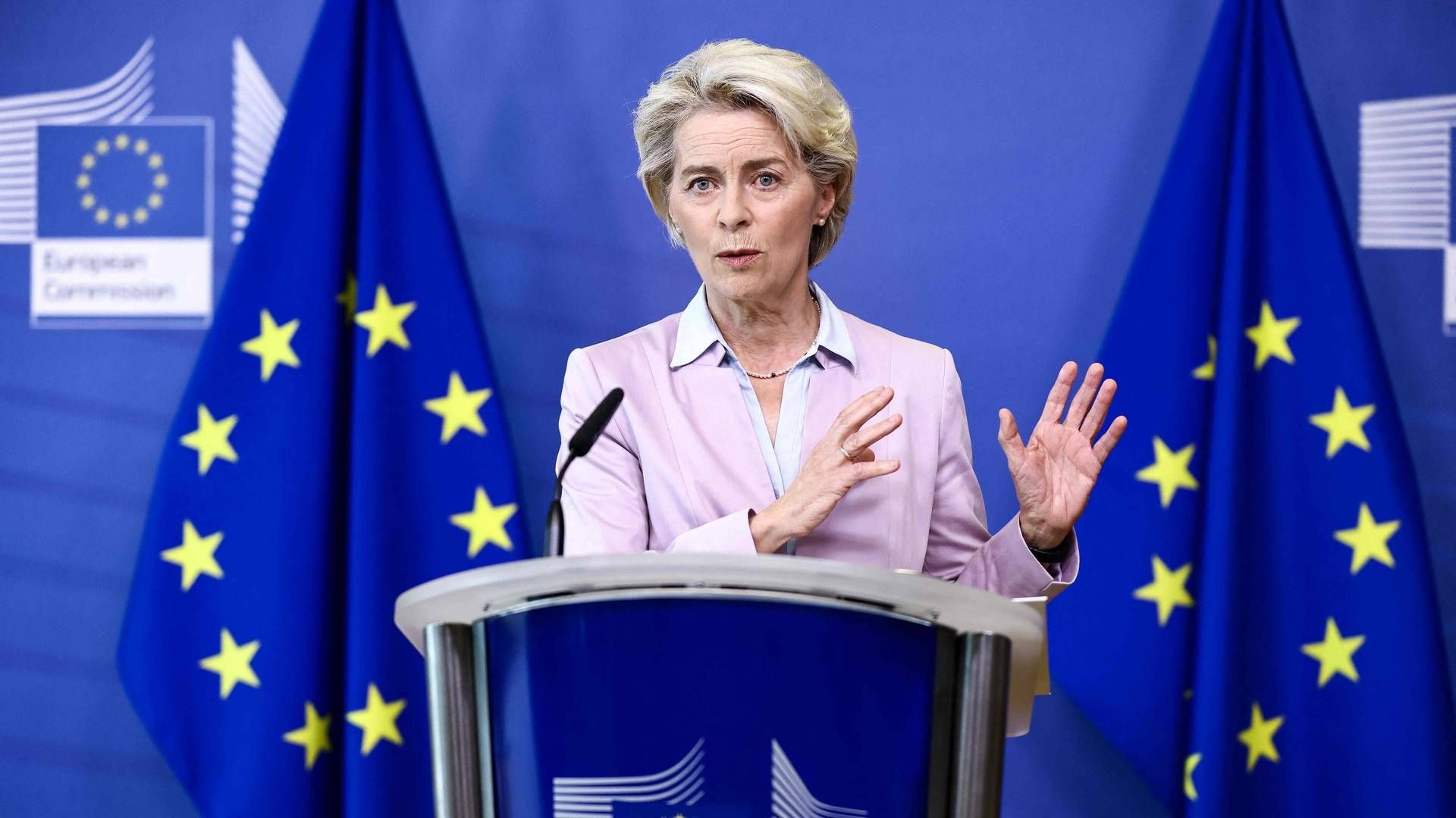 EU-Kommissionens formand, Ursula von der Leyen, mener, at alle må løfte i kampen mod energifattigdom. | Foto: Kenzo Tribouillard/AFP / AFP