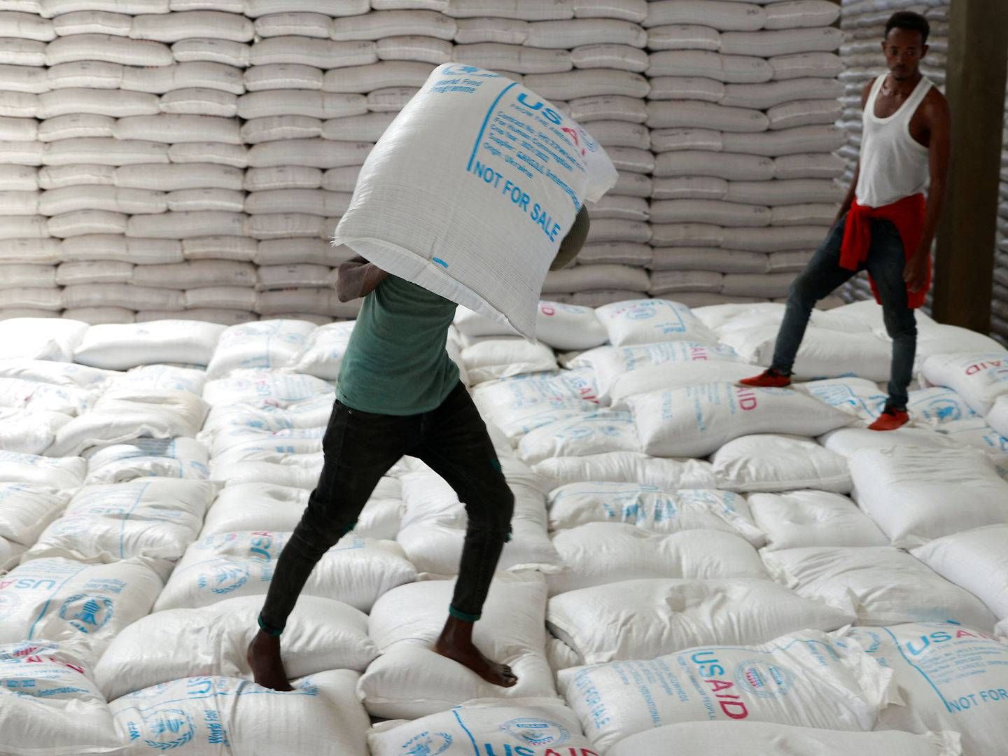 Some grain exported from Ukraine has arrived at this humanitarian food inventory in Ethiopia. | Photo: Tiksa Negeri/Reuters/Ritzau Scanpix