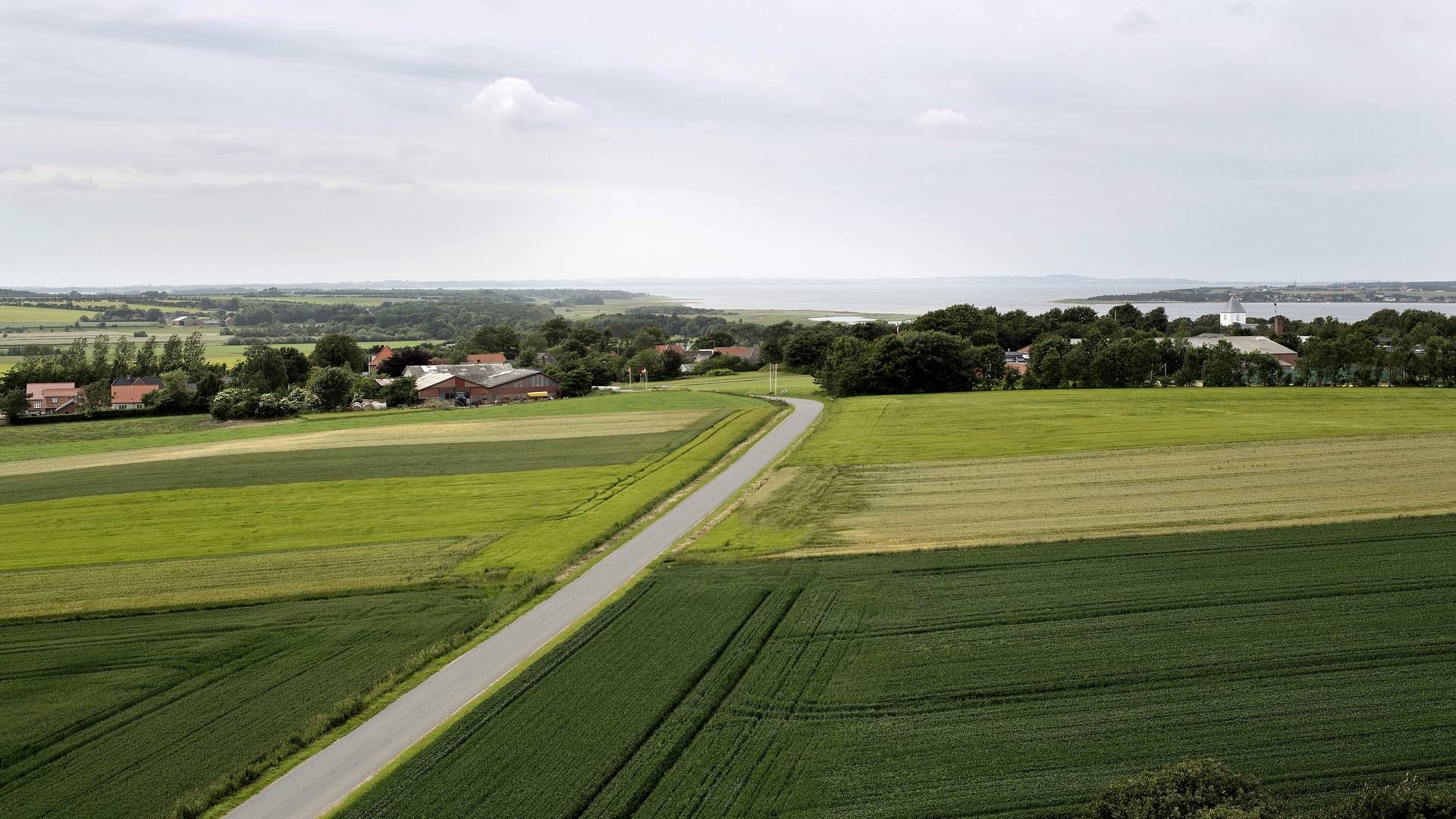 Landsbyen Selde ligger i Midtjylland og tæller ifølge en optælling fra Danmarks Statistik 270 indbyggere i 2022. | Foto: Lars Just