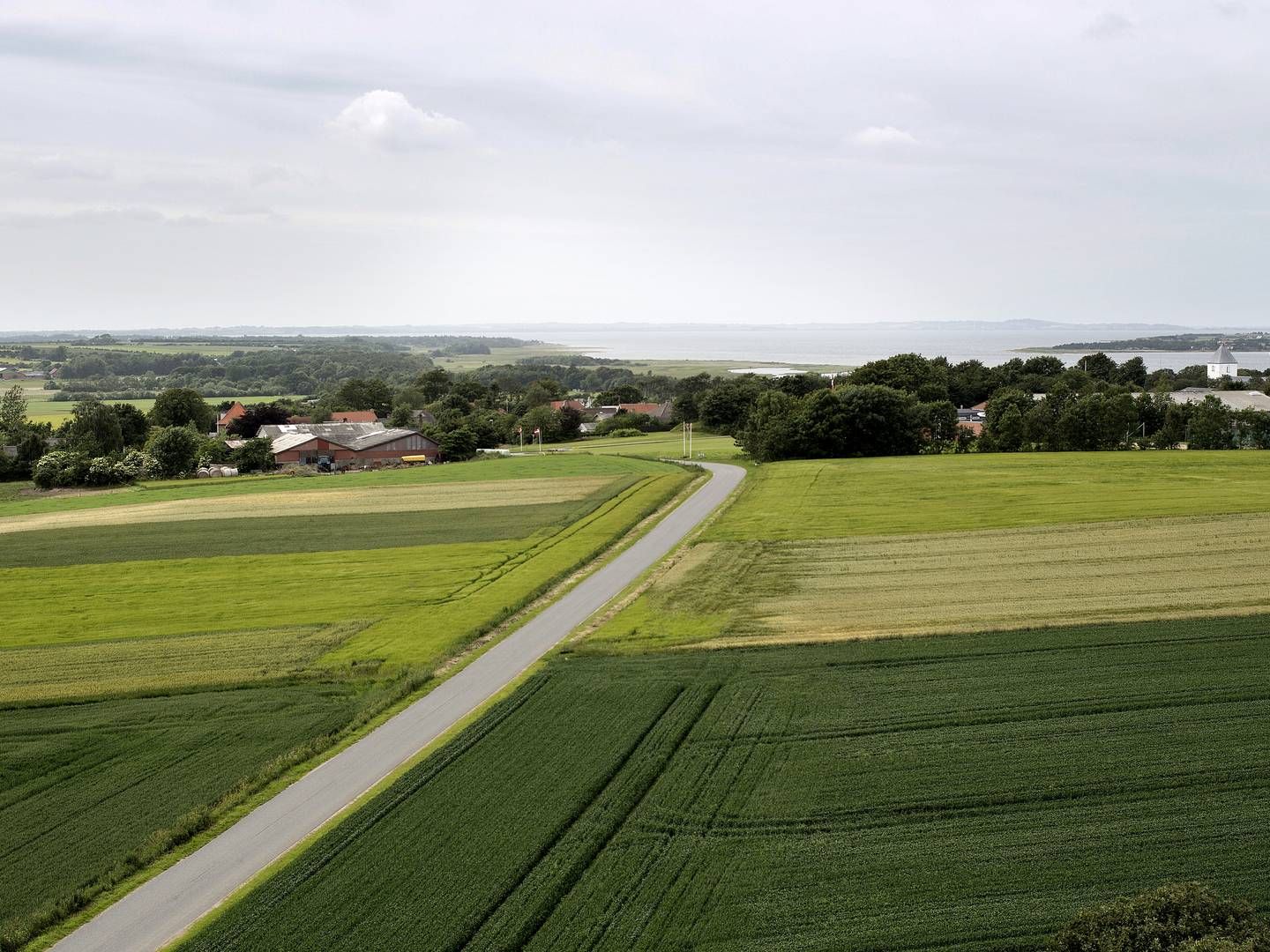 Landsbyen Selde ligger i Midtjylland og tæller ifølge en optælling fra Danmarks Statistik 270 indbyggere i 2022. | Foto: Lars Just