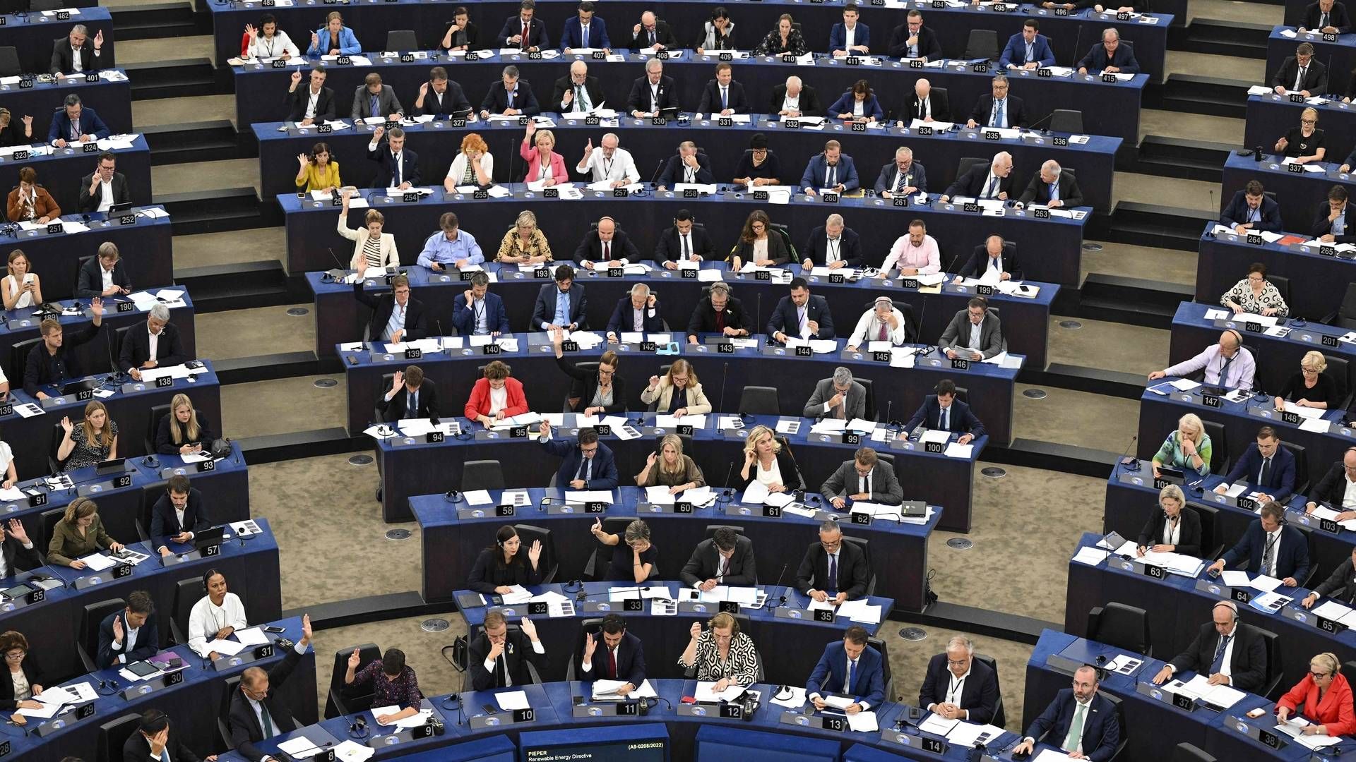 EU-Parlamentarikerne stemte onsdag deres ændringsforslag igennem til det reviderede direktiv for vedvarende energi. Direktivet skal nu forhandles endeligt på plads med Rådet, det vil sige EU's medlemslande. Derfor er den endelige udformning endnu ikke på plads. | Foto: FREDERICK FLORIN/AFP / AFP